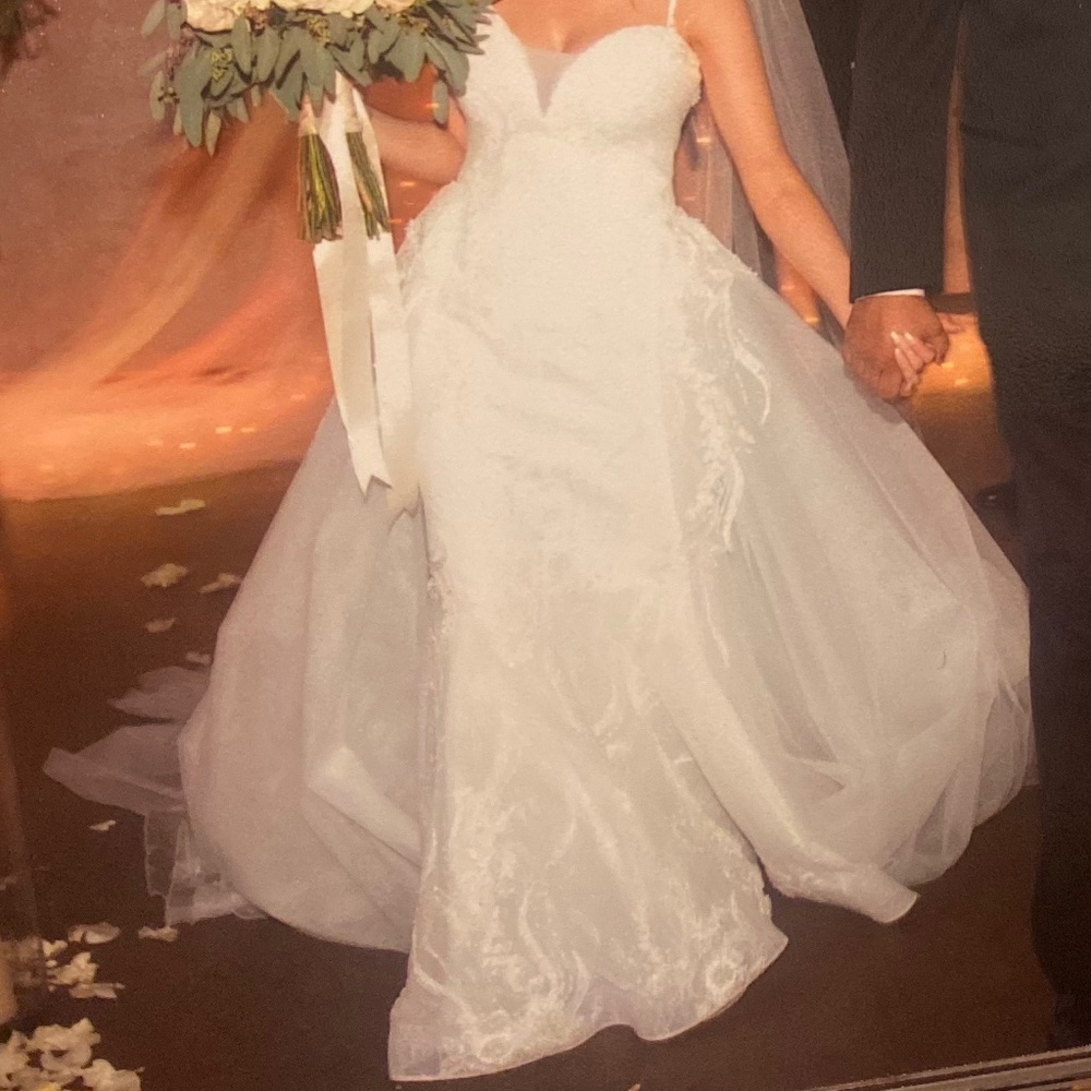 Tony Ward Wedding Dress